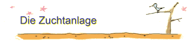 Die Zuchtanlage