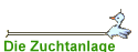 Die Zuchtanlage